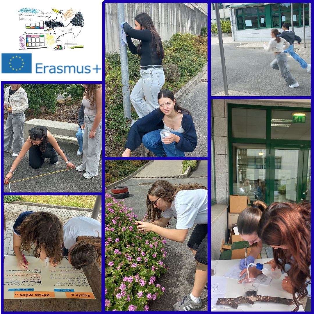 Atividades Outdoor Learning do agrupamento: alunos em tarefas práticas no exterior